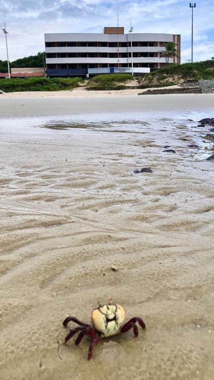 Praiabella Hotel São Luís Kültér fotó